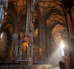 Häufig gestellte Fragen Bild