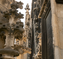 Kurz und knackig Bild