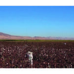 Oliver Walker, One Euro, 2015. Courtesy of the artist. Supported by Arts Council England, © Oliver Walker