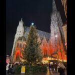 Weihnachtsbaum am Stephansplatz